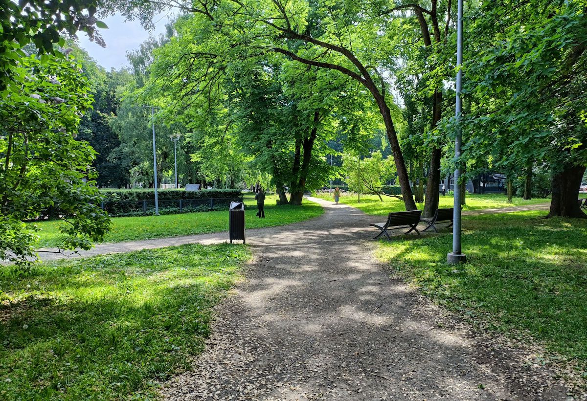 Lembitu park TLN linnaplaneerimise amet - Sisuturundus SEO